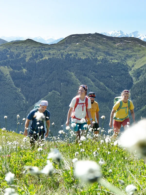 05_sommer_wandern.jpg